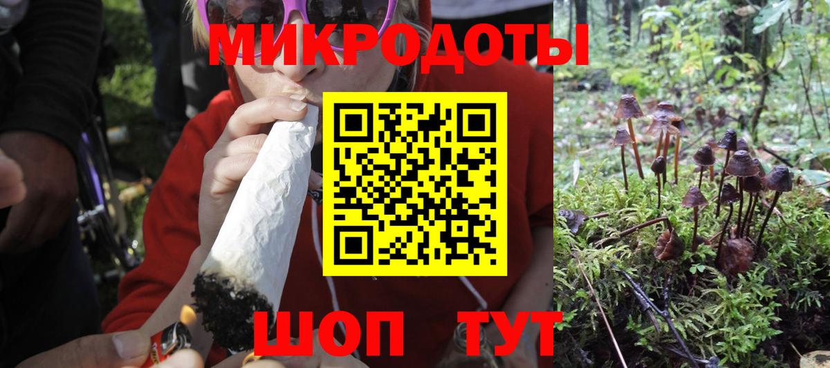 Галлюциногенные грибы мицелий  Вход с VPN  Советский  цена   Псилоцибиновые грибы мицелий 